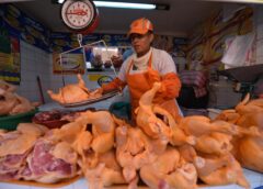 Sucre: El pollo a Bs 22, La papa por las nubes y el pan a dos por 1.50 Bs; Los primeros efectos del «dieselazo» || Intendencia Municipal reporta alza en el precio de la papa y el pan, mientras el pollo registra una baja en los mercados.
