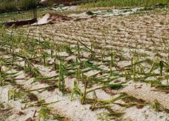 Educación y la Defensoría del Pueblo abren campaña de recaudación de útiles escolares para escolares damnificados de Potolo || Hasta el 20 de febrero.