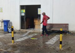Salud programa desratización en el Mercado Central, El Morro y otros cinco mercado || Actualmente hay 3 roedores por cada 10 habitantes en la capital.