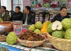 Presto impulsa la Chirimoya y el champiñón en la XV Feria Departamental || El alcalde Carrillo destacó la buena cosecha de chirimoya de este año, señalando que "actualmente está saliendo camionadas de producción de chirimoya de nuestro municipio a los mercados de Sucre, Potosí y Santa Cruz"