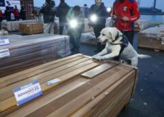 Experto ve que se necesita poder político para mover 100 toneladas de «n4rc0madera» || Es la segunda vez que se descubre narc0ticos en madera, durante el gobierno de Rodrigo Paz.