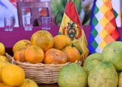 Monteagudo ensaya por primera vez incluir mandarinas para su desayuno escolar || Como medida de reactivación económica frente a los bloqueos.