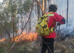 Autoridades y grupos de rescate mitigan incendios forestales de magnitud en Yamparáez y Kora Kora || Anuncian acciones legales y notificaciones a presuntos responsables de quemas descontroladas
