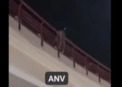 Sucre: Hombre de 39 años resulta herido tras precipitarse 25m desde el puente de Tintamayu || Investigación en curso sobre los motivos del hecho