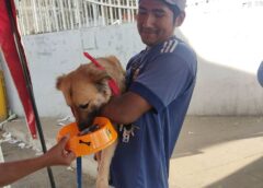 Campaña de adopción en Sucre logra dar hogar a 21 canes de Puka Puka || Se abre debate sobre la tenencia responsable de mascotas y la necesidad de un censo canino en el municipio