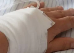 Todo lo que se sabe sobre el ataque de perros que terminó con la vida de un joven en Sucre || Fiscalía investiga las circunstancias del ingreso al domicilio y la propiedad de los canes.