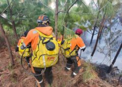 Sucre: Incendio forestal provocado afecta 15 hectáreas en el sector de Fancesa || Normativa penal faculta el inicio de investigaciones por quemas no autorizadas