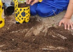 Fiebre, manchas y úlceras: El Coxsackie golpea escuelas y kinders de Sucre || El jefe de epidemiología explicó que la enfermedad  conocida como "mano-pie-boca" es más común en menores de cinco años y en guarderías